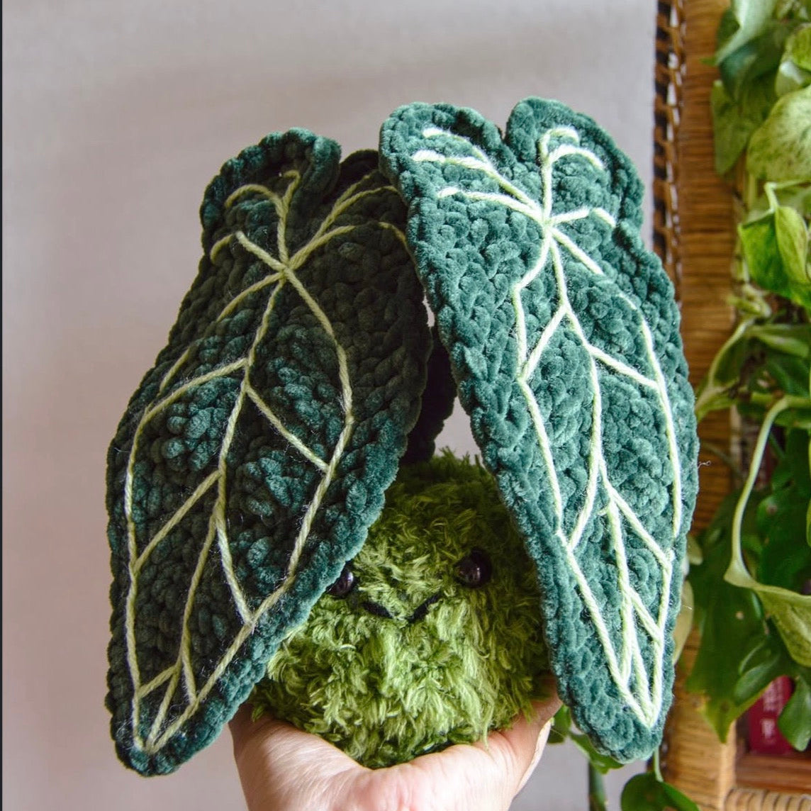 Anthurium Warocqueanum PDF Pattern