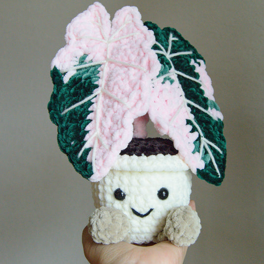 Crochet Alocasia Pink Polly