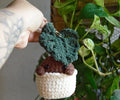 Crocheted Botanical Baby MINI: Single Leaf Monstera Deliciosa Plushie Bag Charm, Amigurumi, Key Chain