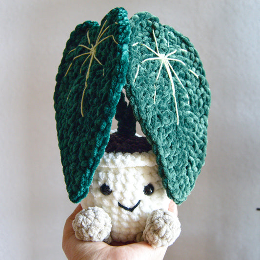 Crochet Anthurium Papillilaminum , Made To order