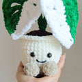 Crochet Monstera