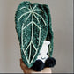 Crochet Anthurium Warocqueanum