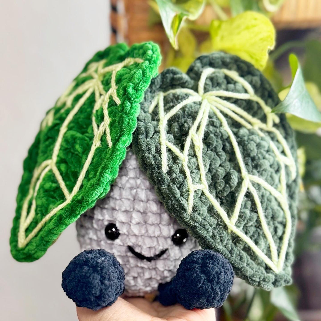 Crochet Blooming Hoya Carnosa – Crocheted Botanicals