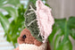 Crochet Botanical Baby Bundle Keychain PDF Pattern