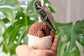Alocasia Pink Polly Botanical Baby Keychain PDF Pattern