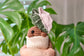 Crocheted Alocasia Pink Polly Plushie: Botanical Bag Charm