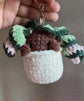 Hoya Compacta (Hindu Rope) Botanical Baby Keychain PDF Pattern