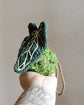 Crocheted hanging Anthurium Plushie Bag Charm: Botanical Kokedama car mirror charm