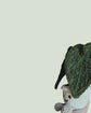 Anthurium Luxurians PDF Pattern