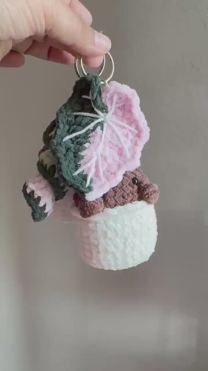 Crocheted Hoya Compacta Plushie: Botanical Keychain Charm