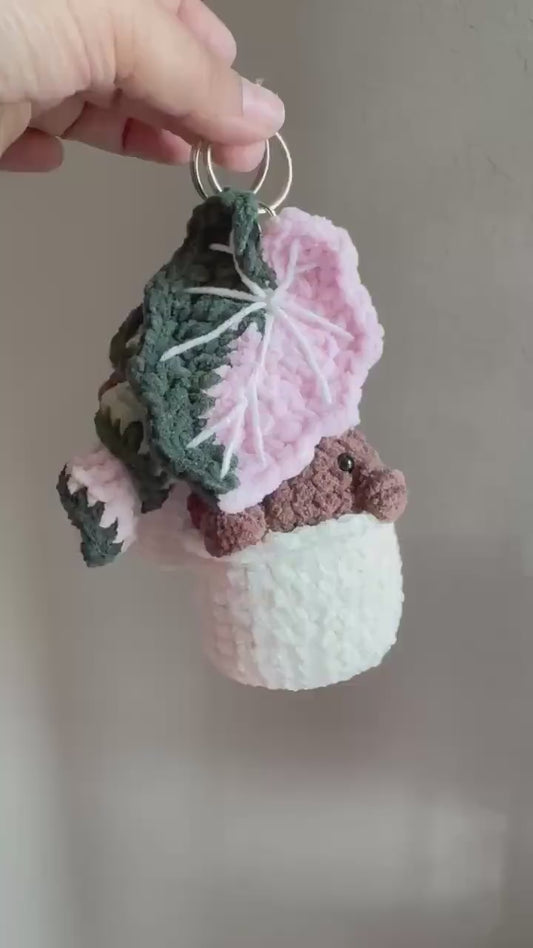 Crocheted Hoya Compacta Plushie: Botanical Keychain Charm